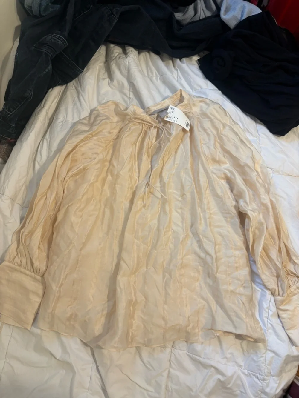 Light Cream Sheer Long-Sleeve Peasant Women’s Top - Picture 3 of 3
